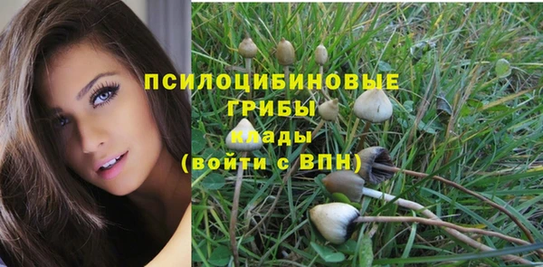 прущий лед Михайловка