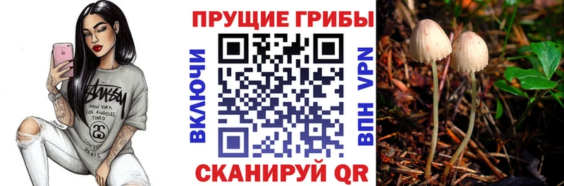 Галлюциногенные грибы прущие грибы  Дубна 