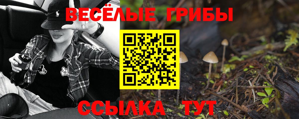 Псилоцибиновые грибы MAGIC MUSHROOMS Дубна