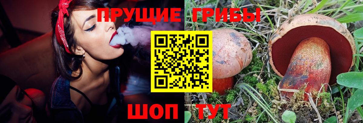 Псилоцибиновые грибы Magic Shrooms  Дубна 