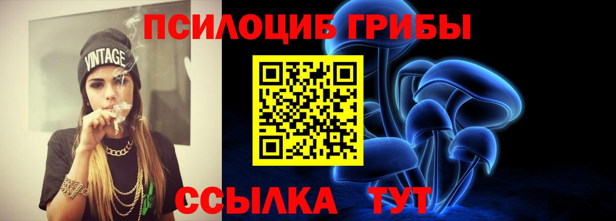 Дубна  Псилоцибиновые грибы мицелий  Вход с VPN 